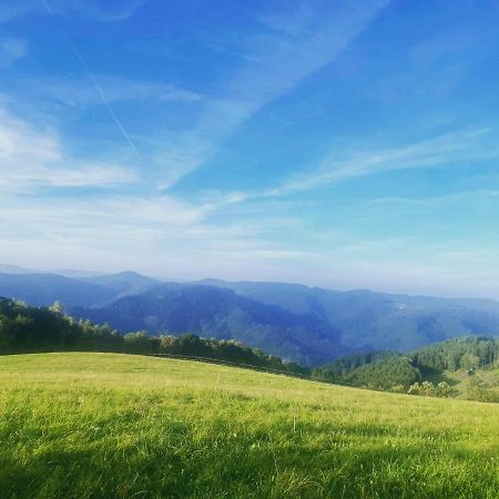 B71 - Appartement Im Herzen Des Schwarzwalds Schramberg Esterno foto
