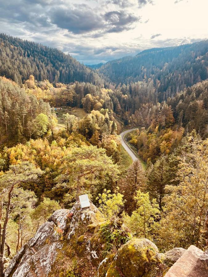 B71 - Appartement Im Herzen Des Schwarzwalds Schramberg Esterno foto