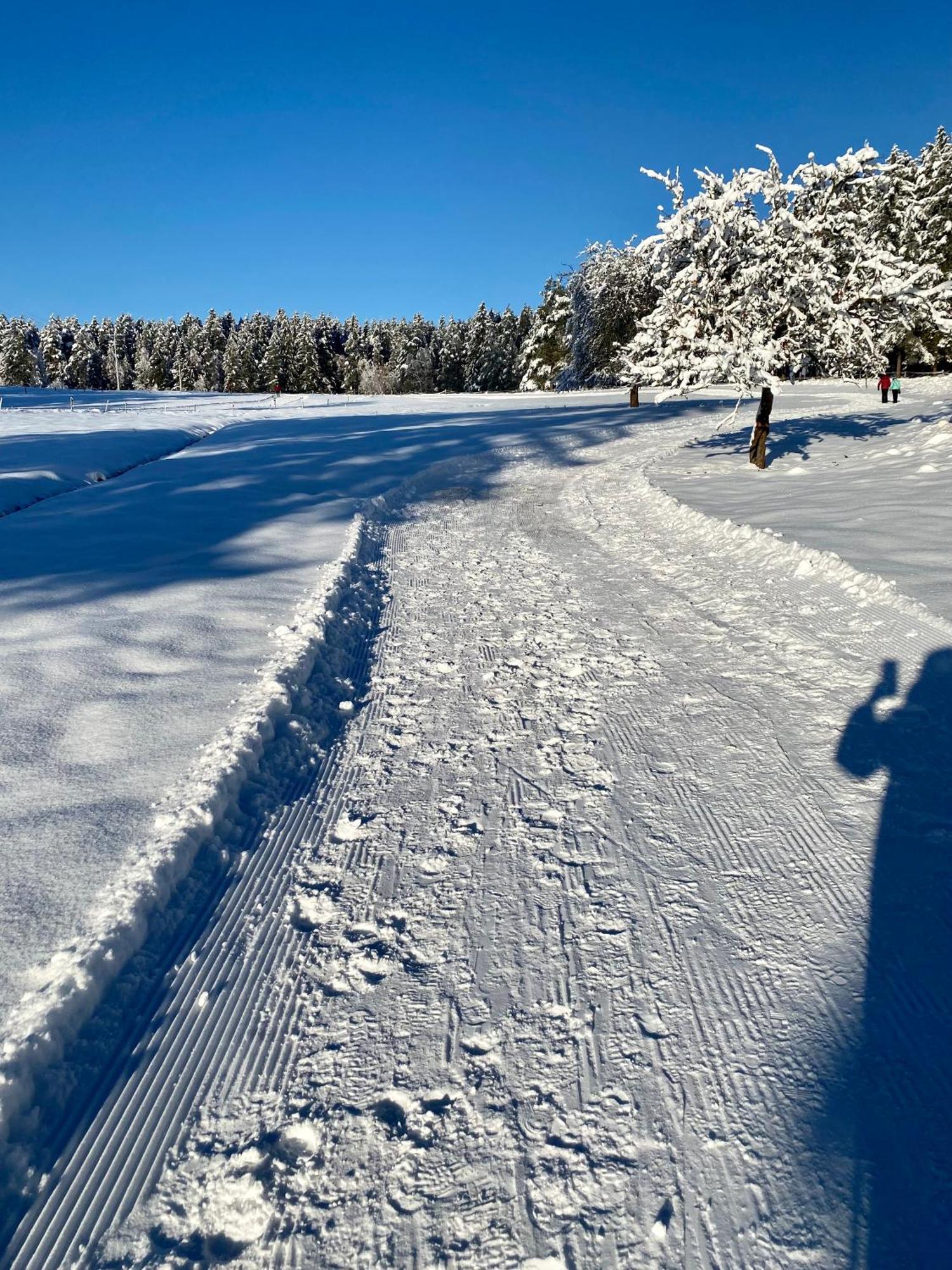 B71 - Appartement Im Herzen Des Schwarzwalds Schramberg Esterno foto